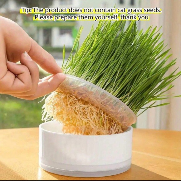 Hydroponic Cat Grass Planter New - Picture 1 of 7